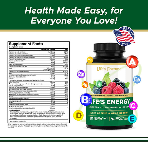 Life's Energy Multivitamin