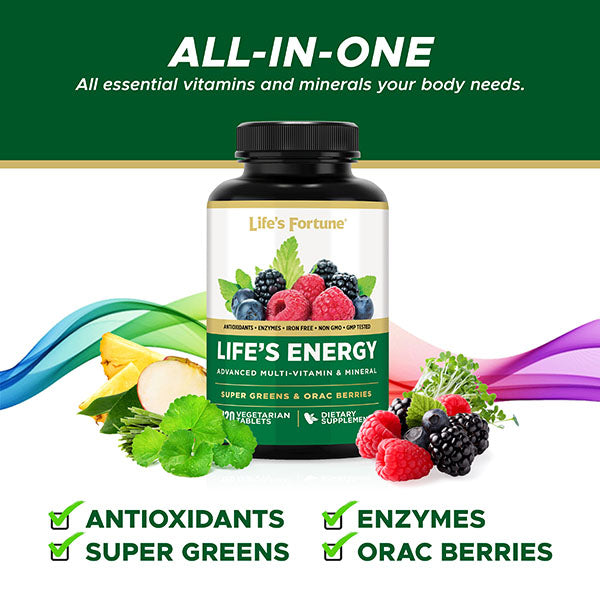 Life's Energy Multivitamin