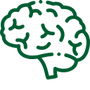 Brain Function