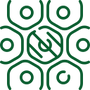 Connective Tissue Support